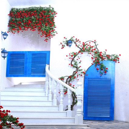 B-7519.jpg撮影用背景布★多サイズ対応(0.5ｍ x 0.9～3ｍ x 6m）★