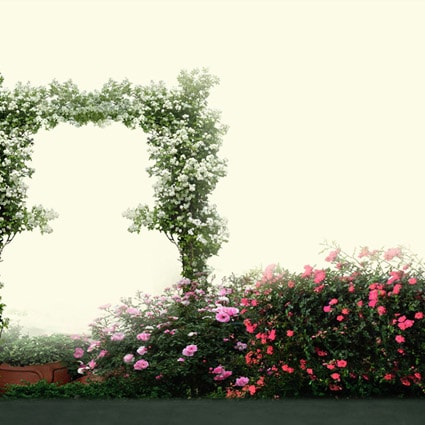 B-7636.jpg撮影用背景布★多サイズ対応(0.5ｍ x 0.9～3ｍ x 6m）★