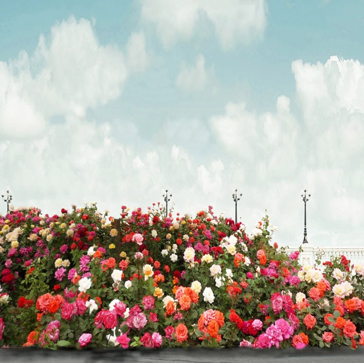 B-7841.jpg撮影用背景布★多サイズ対応(0.5ｍ x 0.9～3ｍ x 6m）★