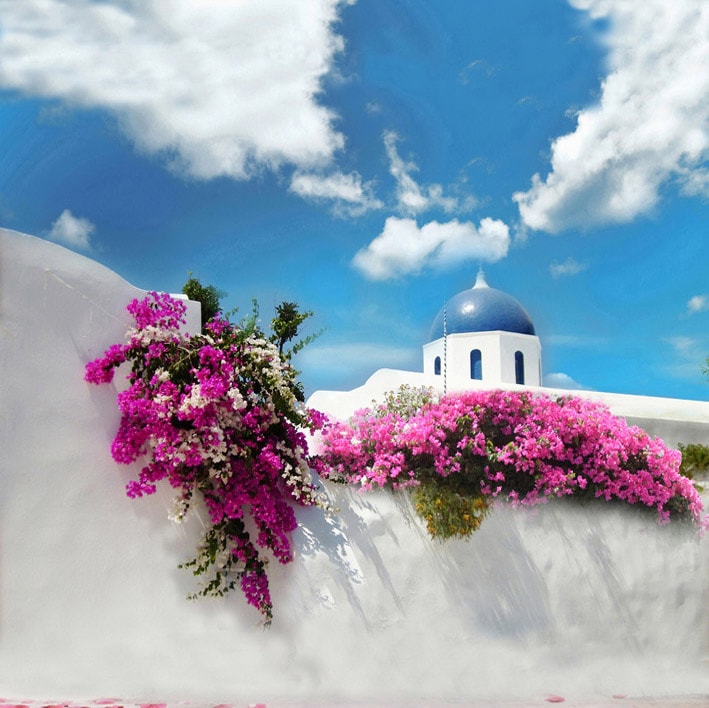 B-7951.jpg撮影用背景布★多サイズ対応(0.5ｍ x 0.9～3ｍ x 6m）★