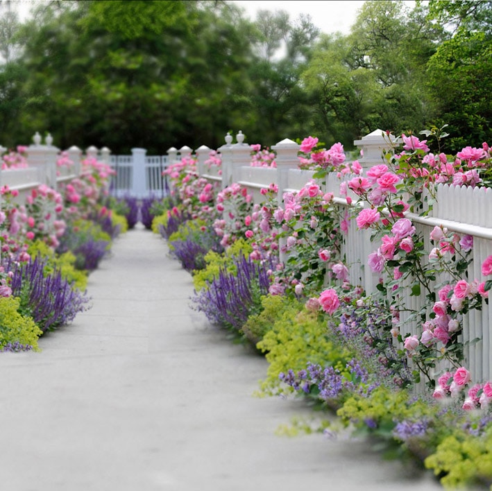 B-7963.jpg撮影用背景布★多サイズ対応(0.5ｍ x 0.9～3ｍ x 6m）★