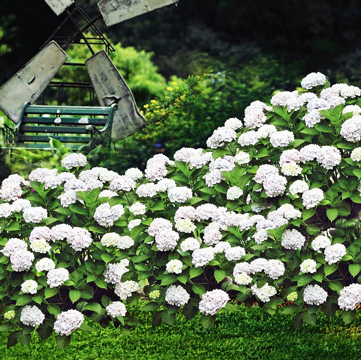 B-7968.jpg撮影用背景布★多サイズ対応(0.5ｍ x 0.9～3ｍ x 6m）★