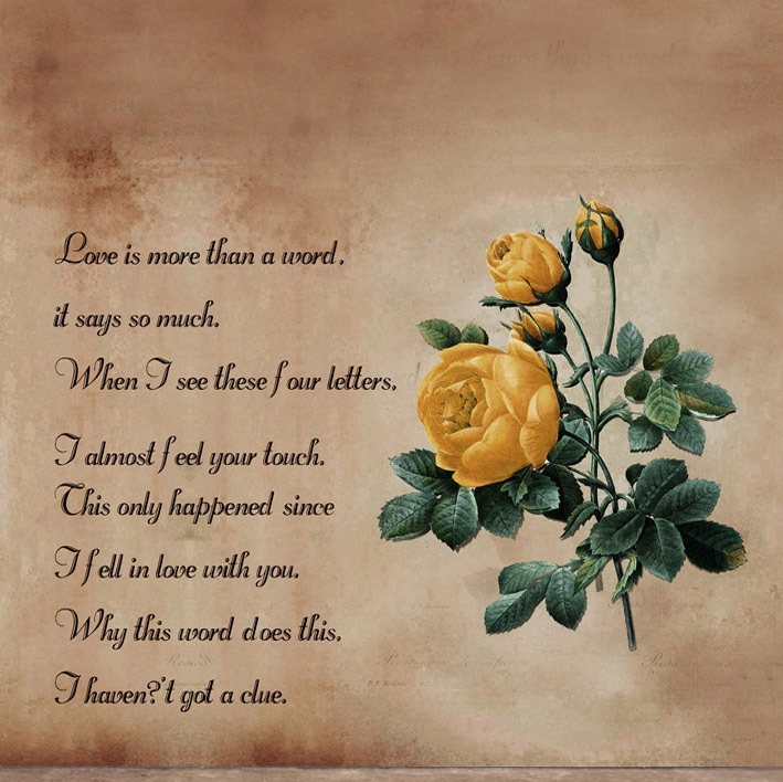 B-7970.jpg撮影用背景布★多サイズ対応(0.5ｍ x 0.9～3ｍ x 6m）★