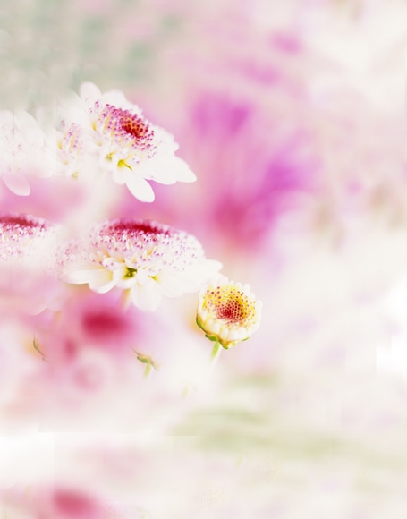 B-bt12.jpg撮影用背景布★多サイズ対応(0.5ｍ x 0.9～3ｍ x 6m）★