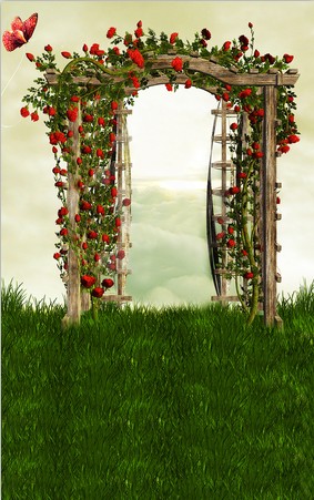 B-w048.jpg撮影用背景布★多サイズ対応(0.5ｍ x 0.9～3ｍ x 6m）★