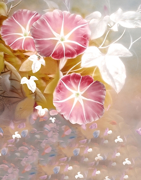 B-y-3011.jpg撮影用背景布★多サイズ対応(0.5ｍ x 0.9～3ｍ x 6m）★