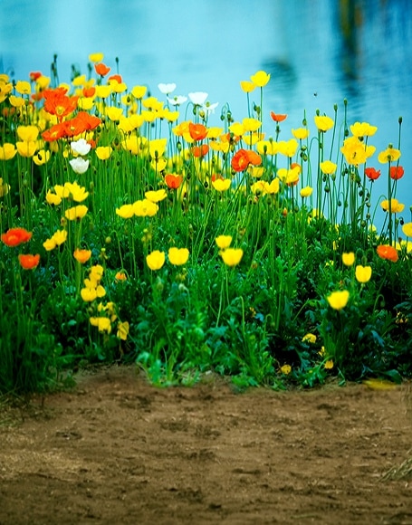 B-y-3017.jpg撮影用背景布★多サイズ対応(0.5ｍ x 0.9～3ｍ x 6m）★