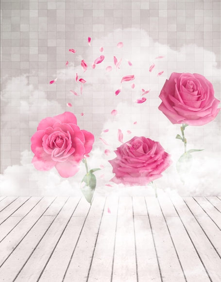 B-y-3111.jpg撮影用背景布★多サイズ対応(0.5ｍ x 0.9～3ｍ x 6m）★