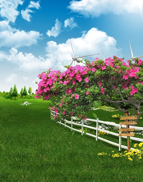 B-y-3123.jpg撮影用背景布★多サイズ対応(0.5ｍ x 0.9～3ｍ x 6m）★