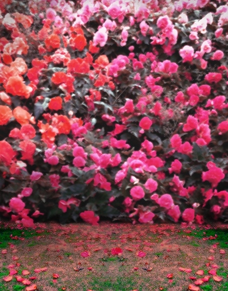 B-y-3241.jpg撮影用背景布★多サイズ対応(0.5ｍ x 0.9～3ｍ x 6m）★