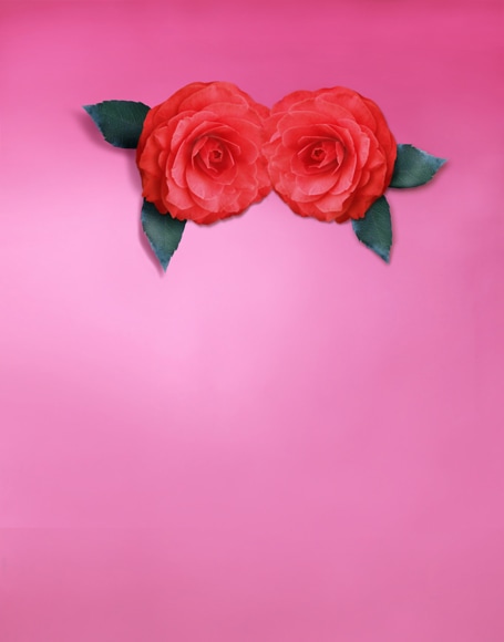 B-y-3503.jpg撮影用背景布★多サイズ対応(0.5ｍ x 0.9～3ｍ x 6m）★