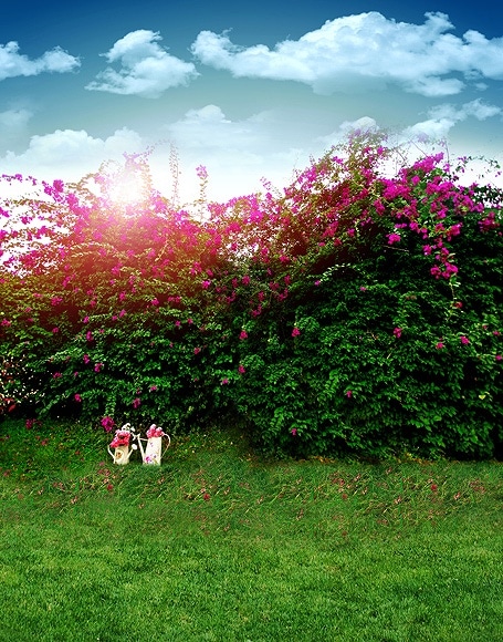 B-y-3530.jpg撮影用背景布★多サイズ対応(0.5ｍ x 0.9～3ｍ x 6m）★