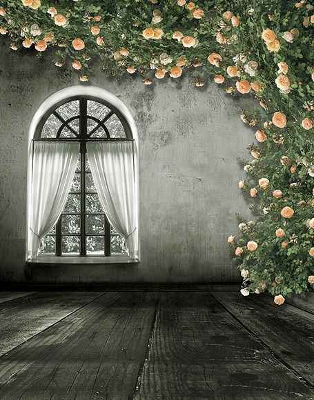 B-y-3559.jpg撮影用背景布★多サイズ対応(0.5ｍ x 0.9～3ｍ x 6m）★