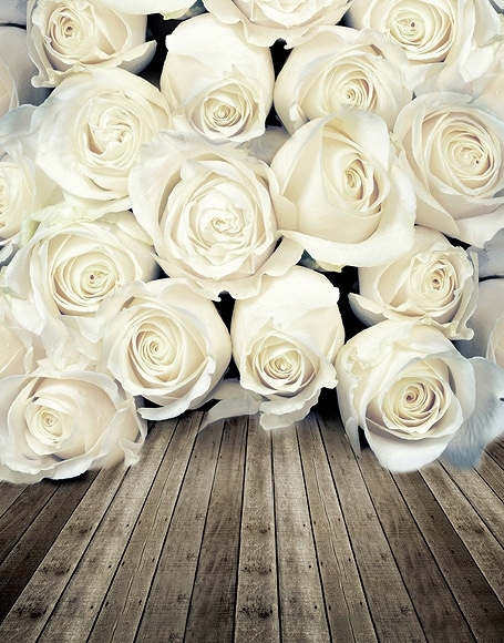 B-y-3705.jpg撮影用背景布★多サイズ対応(0.5ｍ x 0.9～3ｍ x 6m）★