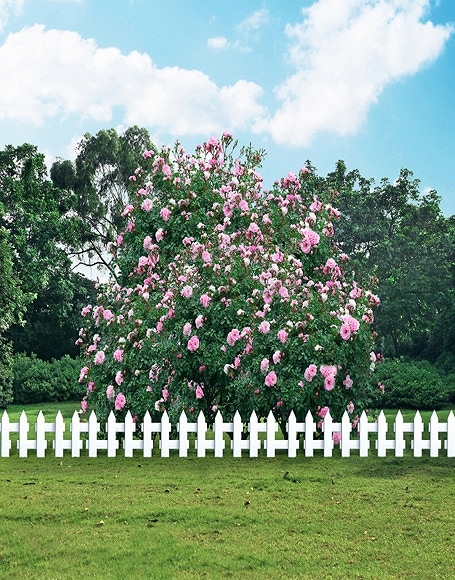 B-y-3722.jpg撮影用背景布★多サイズ対応(0.5ｍ x 0.9～3ｍ x 6m）★