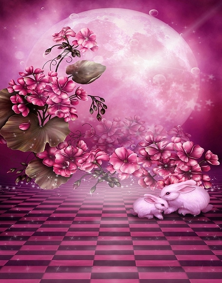 B-y-3747.jpg撮影用背景布★多サイズ対応(0.5ｍ x 0.9～3ｍ x 6m）★