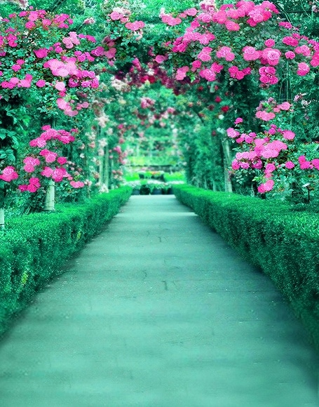 B-y-3778.jpg撮影用背景布★多サイズ対応(0.5ｍ x 0.9～3ｍ x 6m）★