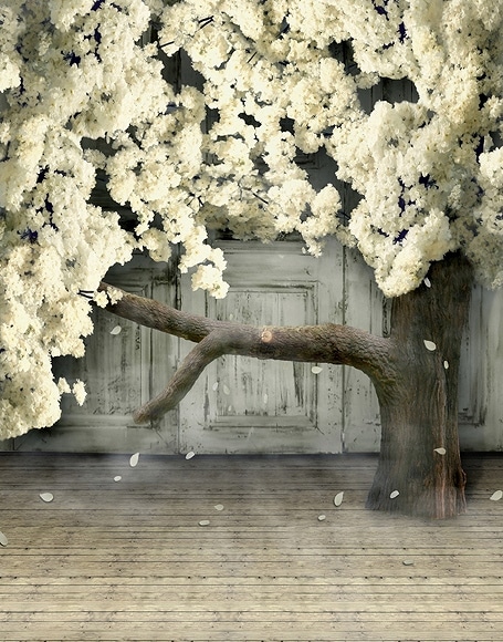 B-y-3805.jpg撮影用背景布★多サイズ対応(0.5ｍ x 0.9～3ｍ x 6m）★