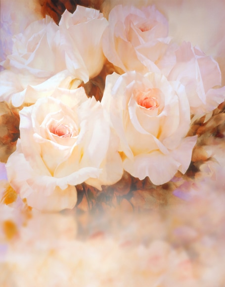 B-y-3846.jpg撮影用背景布★多サイズ対応(0.5ｍ x 0.9～3ｍ x 6m）★