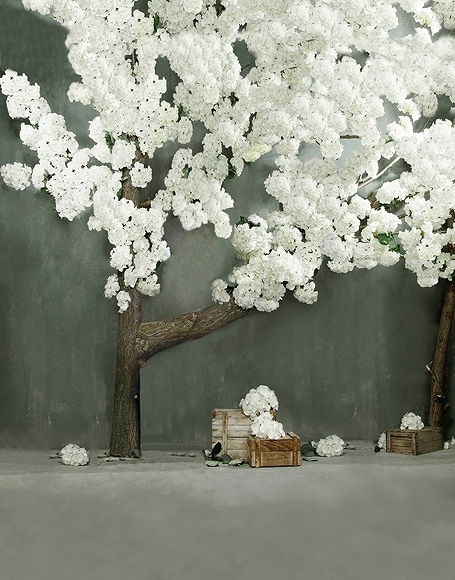 B-y-3848.jpg撮影用背景布★多サイズ対応(0.5ｍ x 0.9～3ｍ x 6m）★