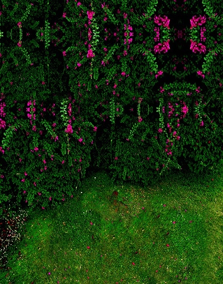 B-y-3858.jpg撮影用背景布★多サイズ対応(0.5ｍ x 0.9～3ｍ x 6m）★