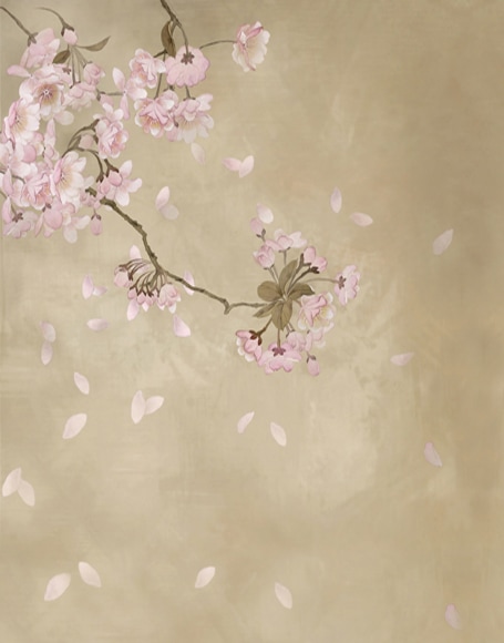 B-y-3883.jpg撮影用背景布★多サイズ対応(0.5ｍ x 0.9～3ｍ x 6m）★