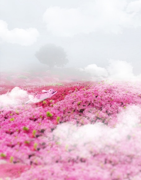 B-y-3912.jpg撮影用背景布★多サイズ対応(0.5ｍ x 0.9～3ｍ x 6m）★