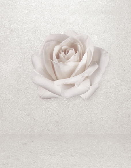 B-y-3964.jpg撮影用背景布★多サイズ対応(0.5ｍ x 0.9～3ｍ x 6m）★