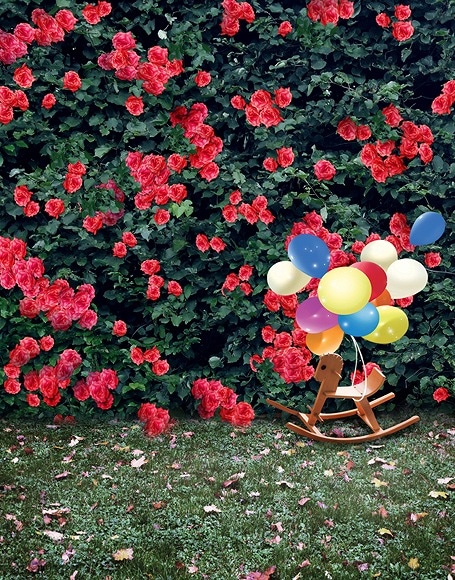 B-y-3969.jpg撮影用背景布★多サイズ対応(0.5ｍ x 0.9～3ｍ x 6m）★