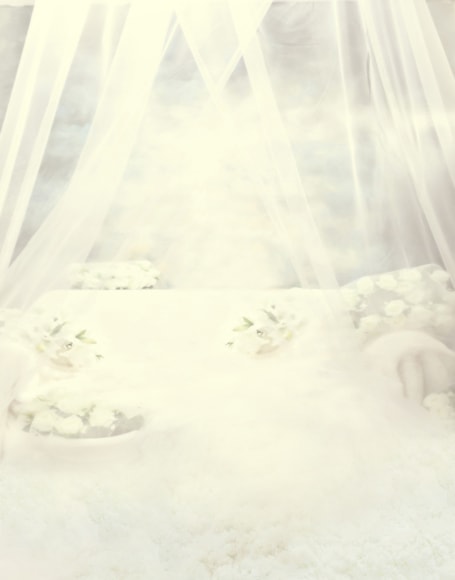 B-y-3983.jpg撮影用背景布★多サイズ対応(0.5ｍ x 0.9～3ｍ x 6m）★