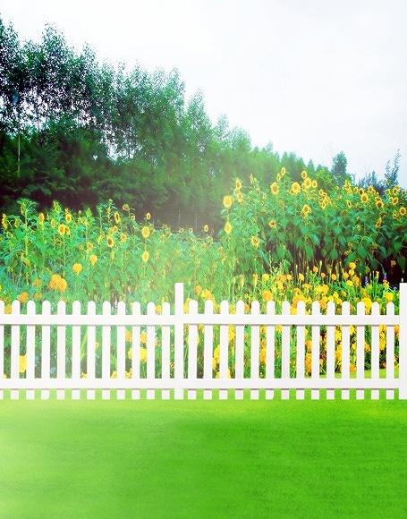 B-y-4074.jpg撮影用背景布★多サイズ対応(0.5ｍ x 0.9～3ｍ x 6m）★