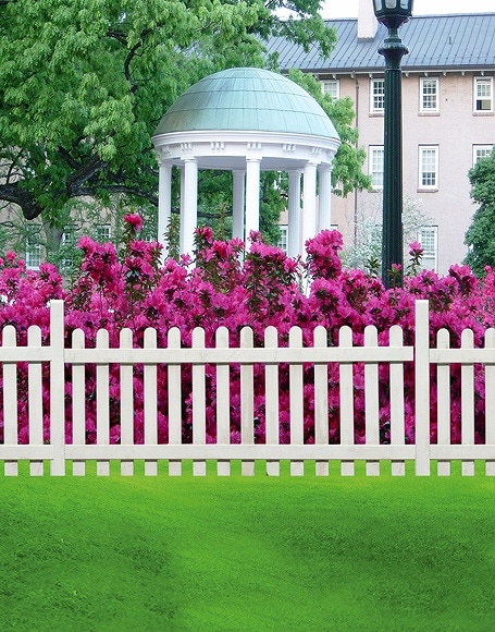 B-y-4175.jpg撮影用背景布★多サイズ対応(0.5ｍ x 0.9～3ｍ x 6m）★