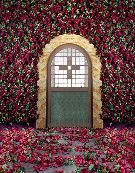 B-y-4376.jpg撮影用背景布★多サイズ対応(0.5ｍ x 0.9～3ｍ x 6m）★