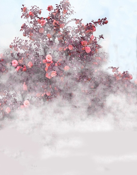 B-y-4391.jpg撮影用背景布★多サイズ対応(0.5ｍ x 0.9～3ｍ x 6m）★