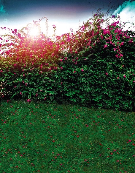 B-y-4410.jpg撮影用背景布★多サイズ対応(0.5ｍ x 0.9～3ｍ x 6m）★