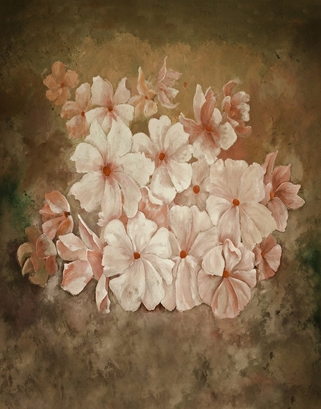 B-y-4423.jpg撮影用背景布★多サイズ対応(0.5ｍ x 0.9～3ｍ x 6m）★