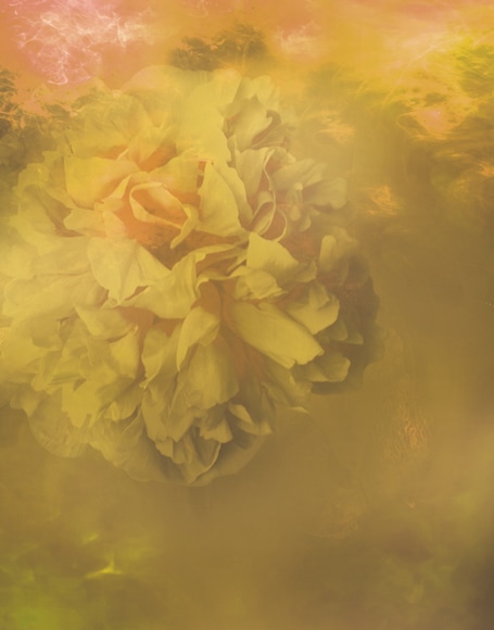 B-y-4441.jpg撮影用背景布★多サイズ対応(0.5ｍ x 0.9～3ｍ x 6m）★