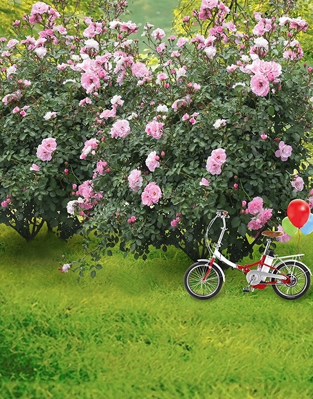 B-y-4449.jpg撮影用背景布★多サイズ対応(0.5ｍ x 0.9～3ｍ x 6m）★