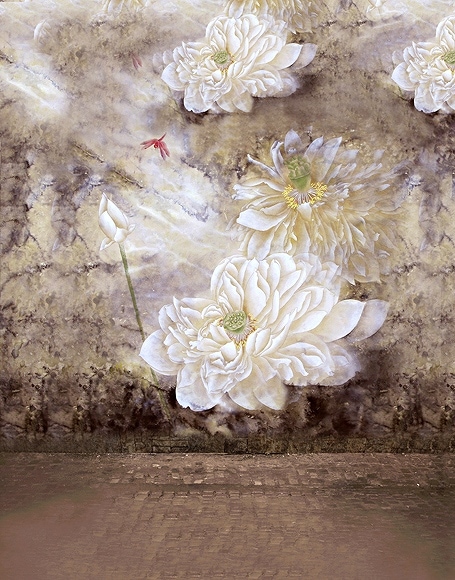 B-y-4479.jpg撮影用背景布★多サイズ対応(0.5ｍ x 0.9～3ｍ x 6m）★