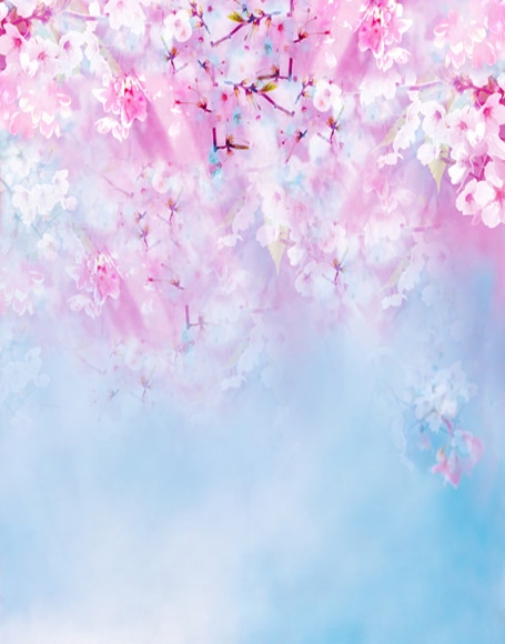 B-y-4498.jpg撮影用背景布★多サイズ対応(0.5ｍ x 0.9～3ｍ x 6m）★