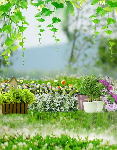 B-y-4515.jpg撮影用背景布★多サイズ対応(0.5ｍ x 0.9～3ｍ x 6m）★