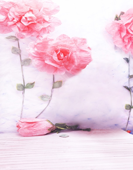 B-y-4643.jpg撮影用背景布★多サイズ対応(0.5ｍ x 0.9～3ｍ x 6m）★