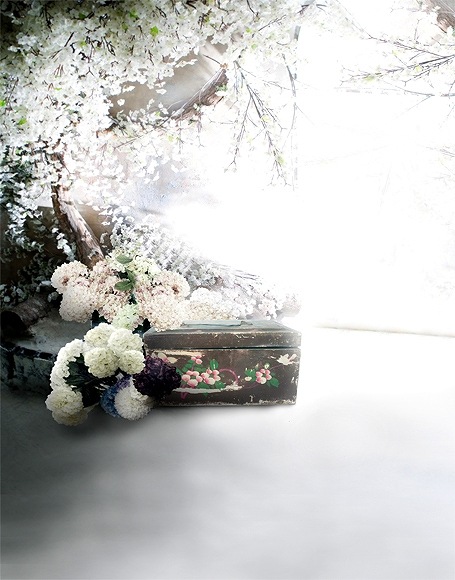 B-y-4950.jpg撮影用背景布★多サイズ対応(0.5ｍ x 0.9～3ｍ x 6m）★