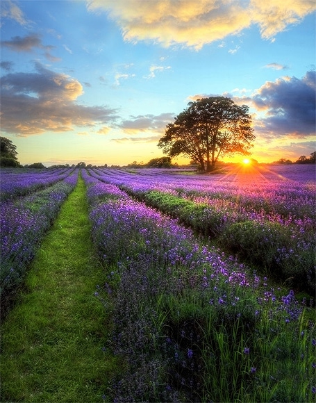 B-y-5006.jpg撮影用背景布★多サイズ対応(0.5ｍ x 0.9～3ｍ x 6m）★