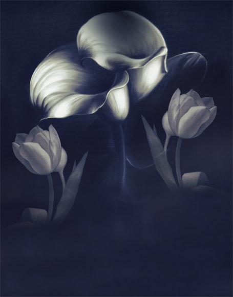 B-y-5027.jpg撮影用背景布★多サイズ対応(0.5ｍ x 0.9～3ｍ x 6m）★