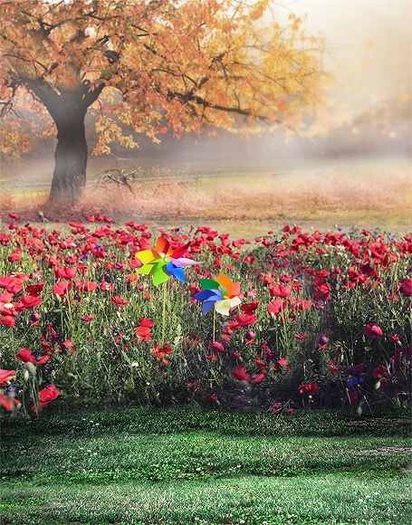 B-y-5036.jpg撮影用背景布★多サイズ対応(0.5ｍ x 0.9～3ｍ x 6m）★