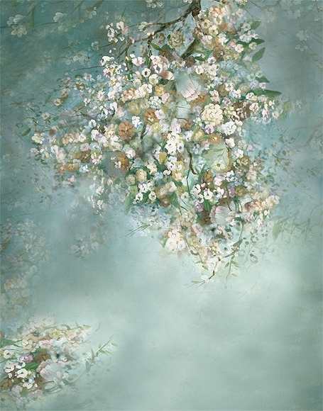 B-y-5056.jpg撮影用背景布★多サイズ対応(0.5ｍ x 0.9～3ｍ x 6m）★