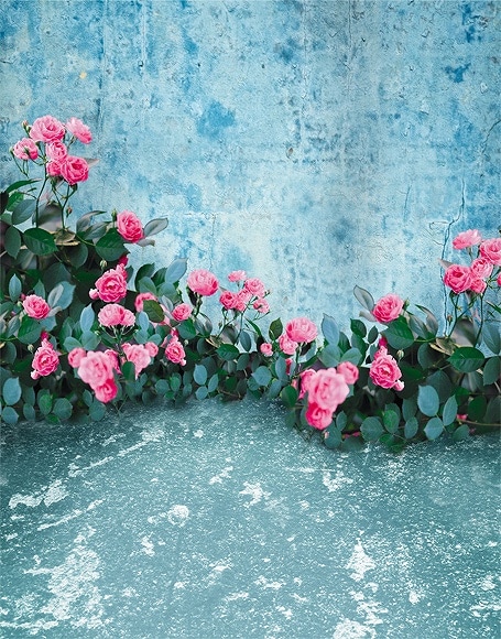 B-y-5065.jpg撮影用背景布★多サイズ対応(0.5ｍ x 0.9～3ｍ x 6m）★