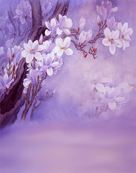 B-y-5164.jpg撮影用背景布★多サイズ対応(0.5ｍ x 0.9～3ｍ x 6m）★