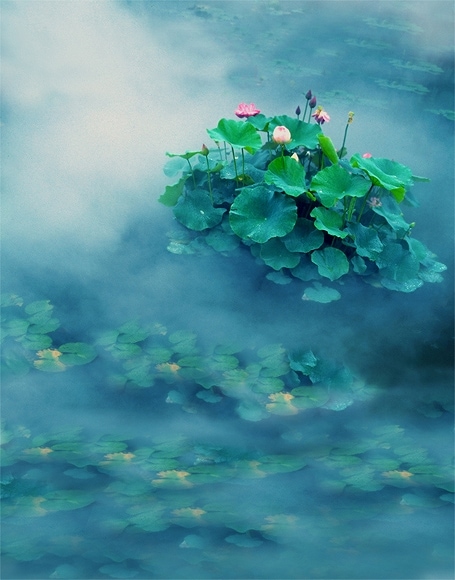 B-y-5167.jpg撮影用背景布★多サイズ対応(0.5ｍ x 0.9～3ｍ x 6m）★